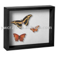 wholesale custom High quality 8*8" black 3D deep Butterfly Taxidermy Wooden shadow box photo Frame